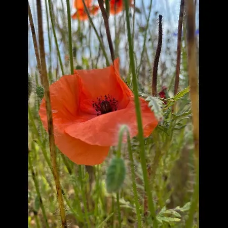 Apartment Neu! Naehe Wismar