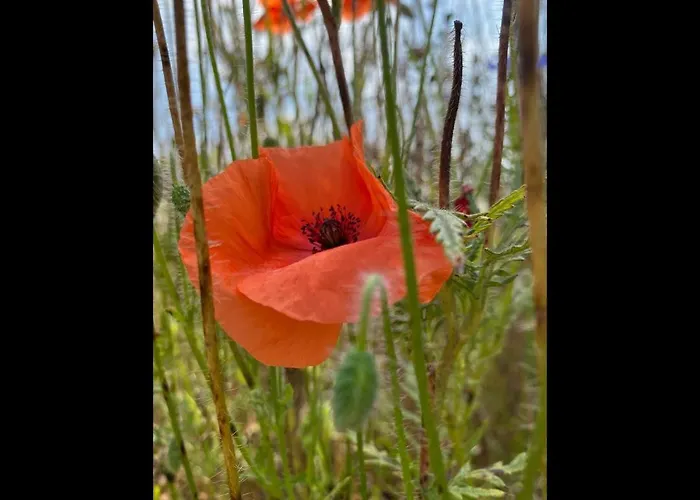 Apartamento Neu! Naehe Wismar